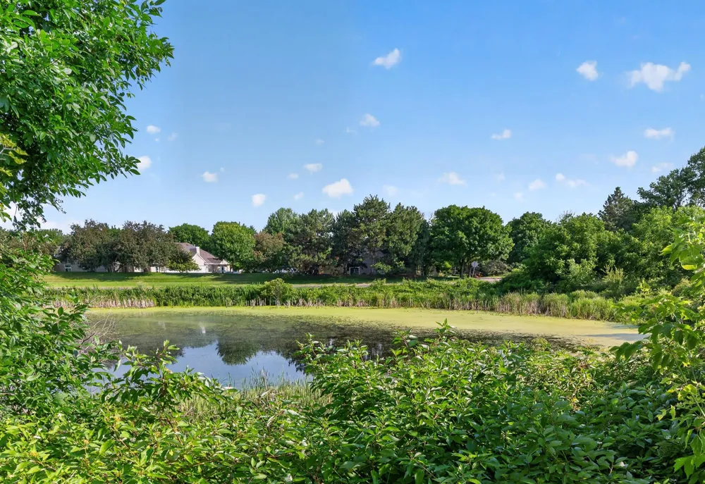 493 Marshland Trail Chanhassen, MN 55317