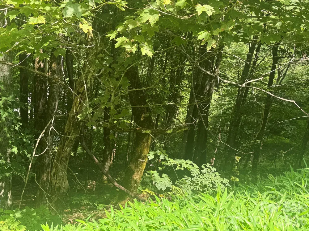 84 Goldenleaf Road Mars Hill, NC 28754