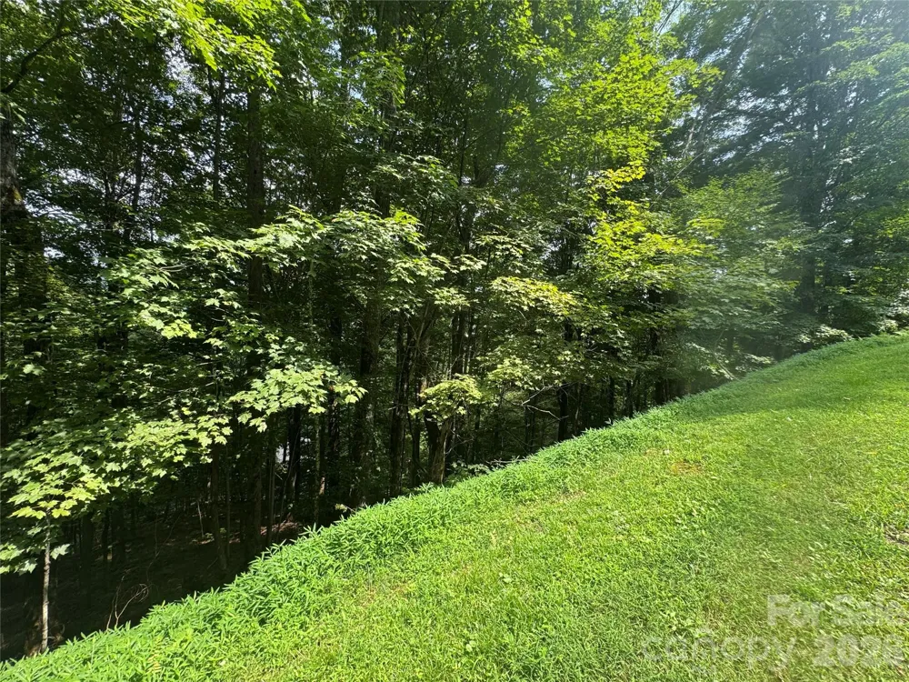 84 Goldenleaf Road Mars Hill, NC 28754