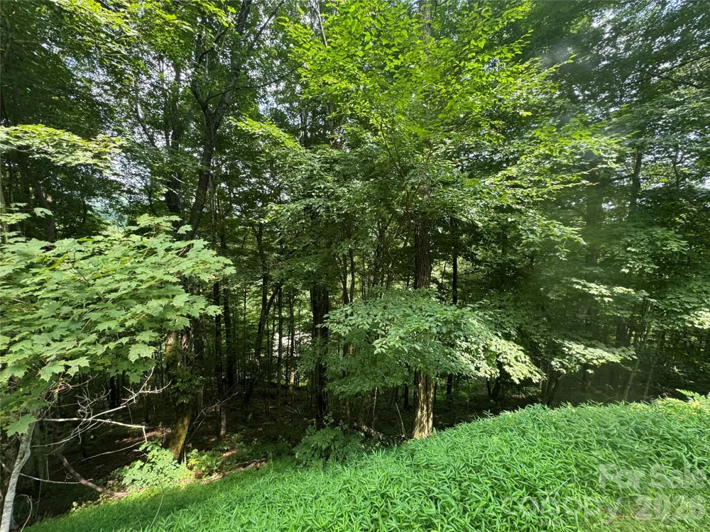 84 Goldenleaf Road Mars Hill, NC 28754
