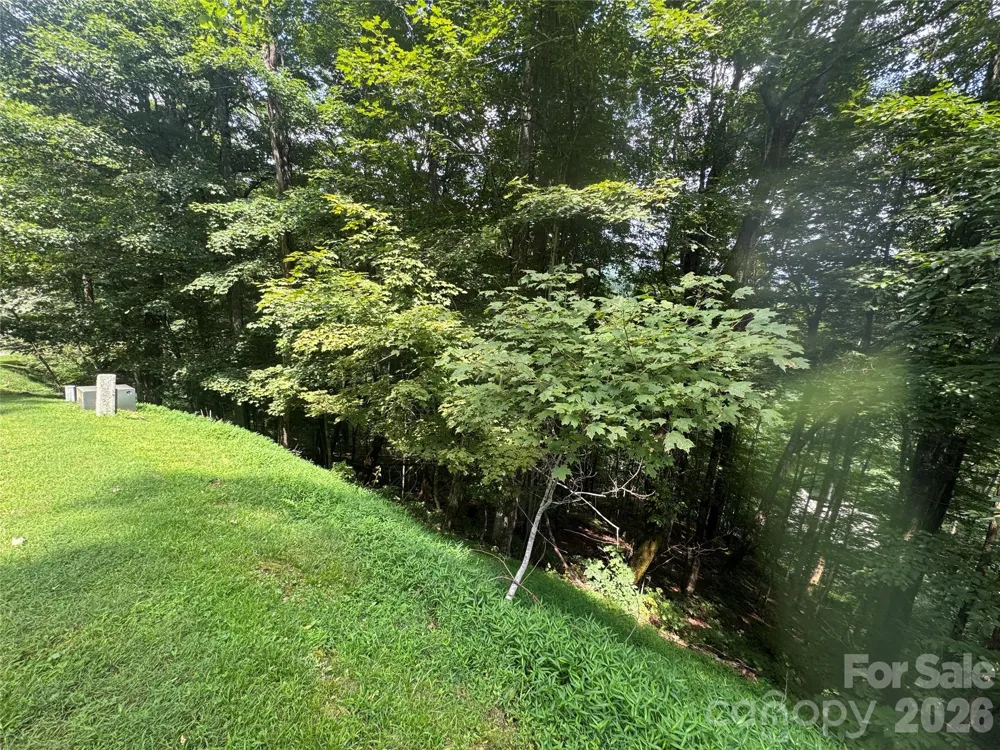 84 Goldenleaf Road Mars Hill, NC 28754