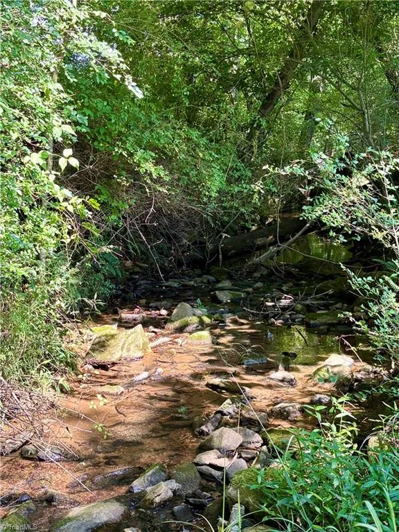 300 Tom Hunter Road Pilot Mountain, NC 27041