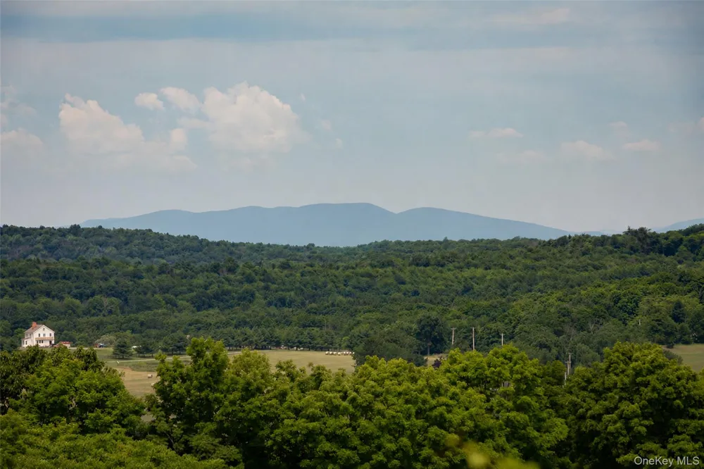 88 Top of the Hill Lane Stanfordville, NY 12581