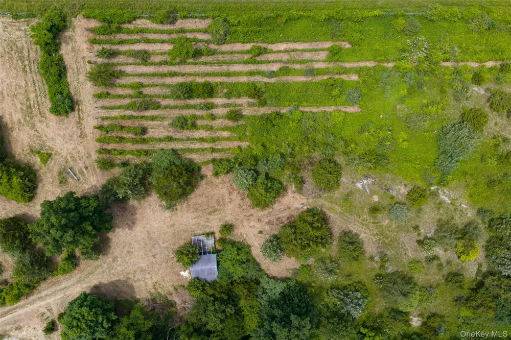 88 Top of the Hill Lane Stanfordville, NY 12581
