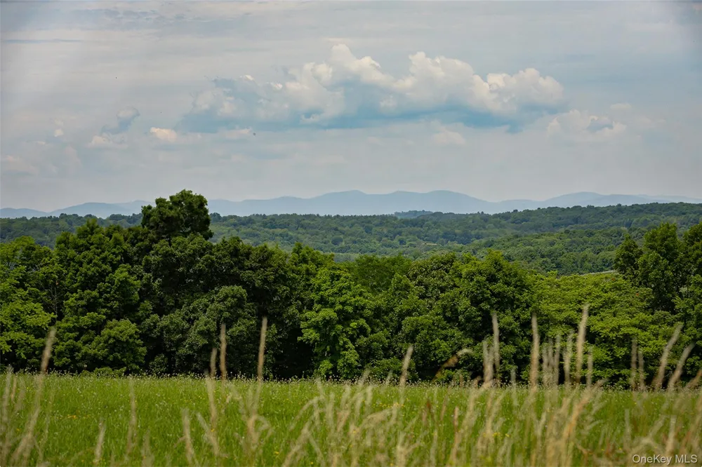 88 Top of the Hill Lane Stanfordville, NY 12581