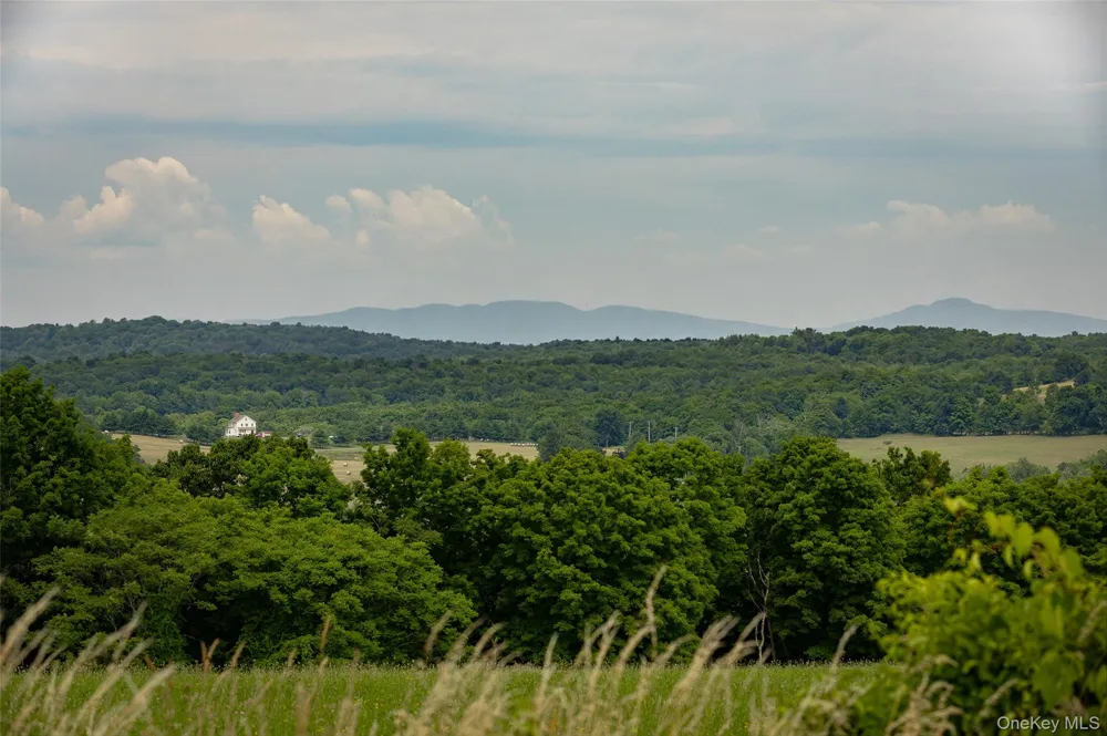 88 Top of the Hill Lane Stanfordville, NY 12581