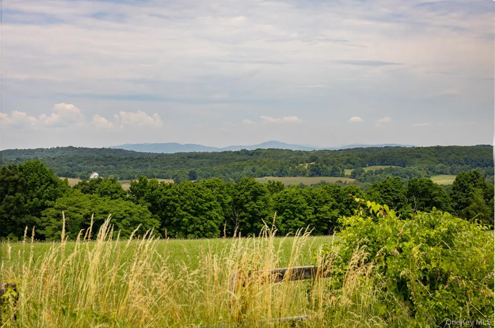 88 Top of the Hill Lane Stanfordville, NY 12581