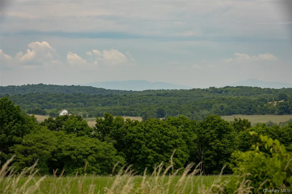 88 Top of the Hill Lane Stanfordville, NY 12581