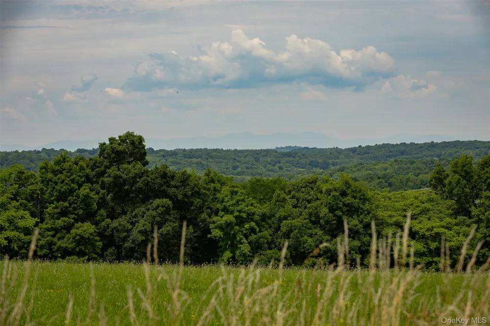 88 Top of the Hill Lane Stanfordville, NY 12581