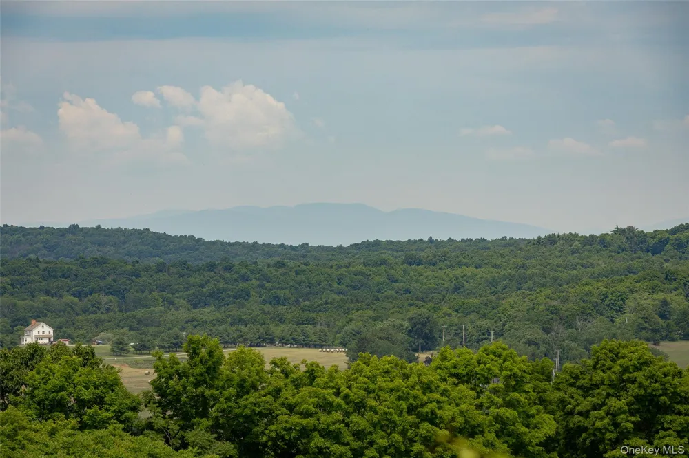 88 Top of the Hill Lane Stanfordville, NY 12581
