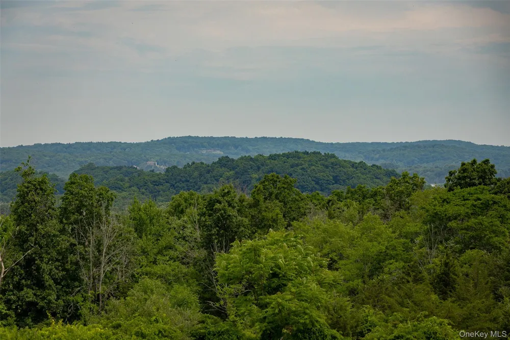 88 Top of the Hill Lane Stanfordville, NY 12581