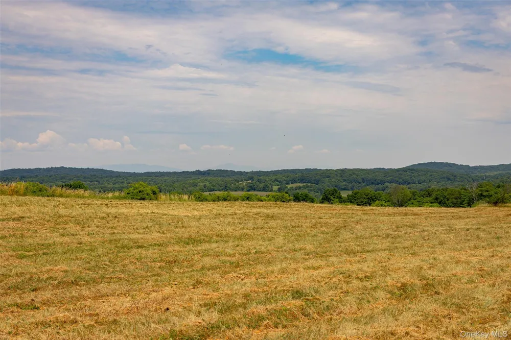 88 Top of the Hill Lane Stanfordville, NY 12581