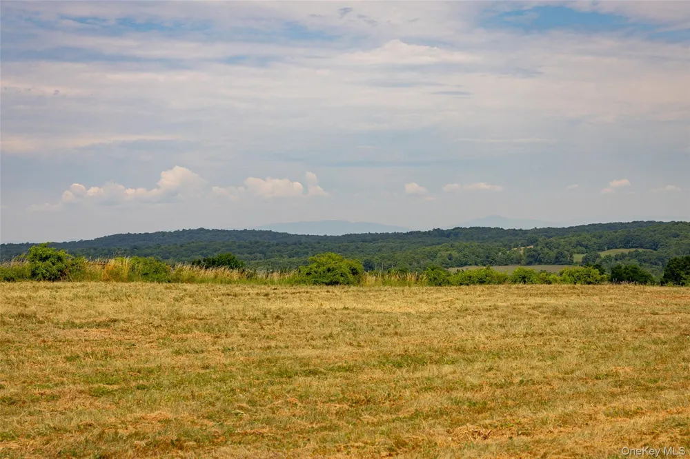 88 Top of the Hill Lane Stanfordville, NY 12581