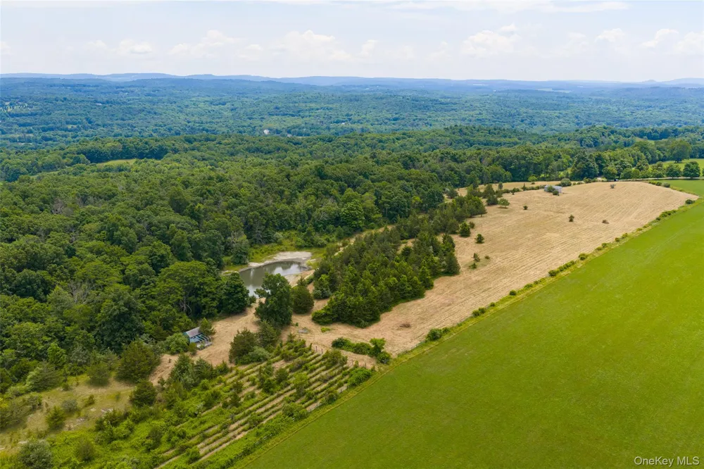 88 Top of the Hill Lane Stanfordville, NY 12581