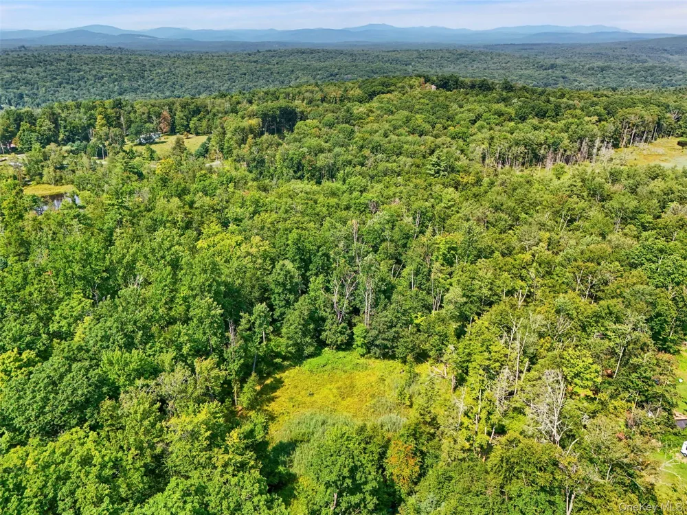 Oak Ridge Road Ellenville, NY 12428