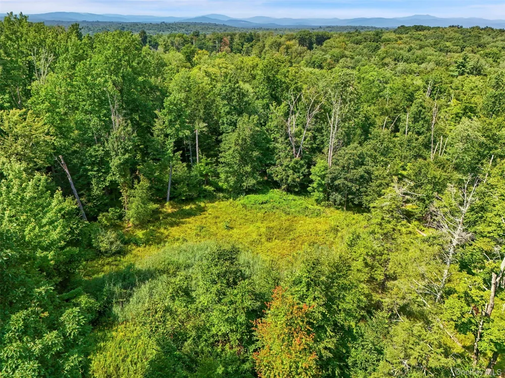 Oak Ridge Road Ellenville, NY 12428