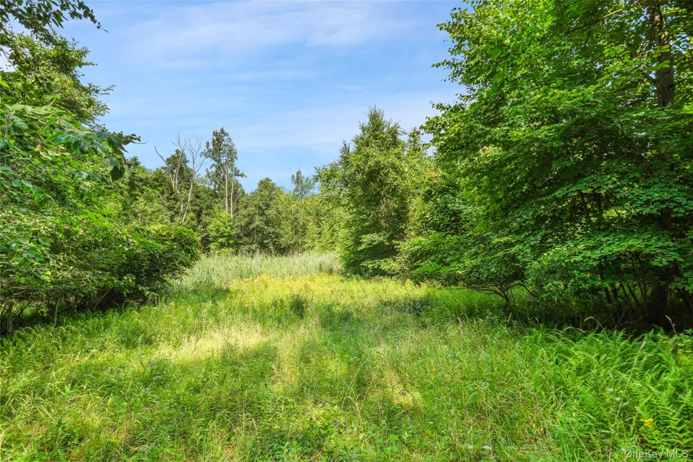 Oak Ridge Road Ellenville, NY 12428