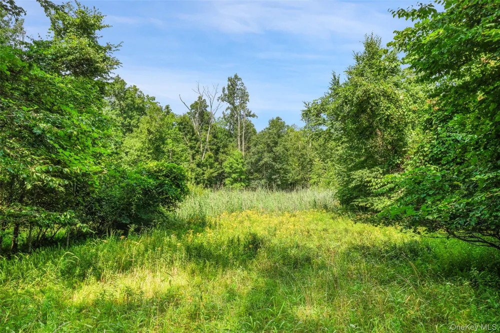 Oak Ridge Road Ellenville, NY 12428