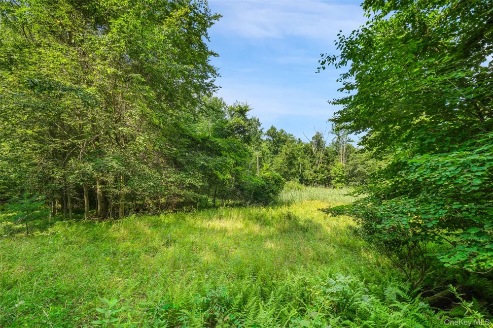 Oak Ridge Road Ellenville, NY 12428