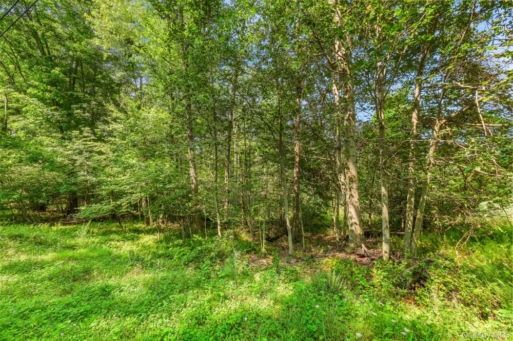 Oak Ridge Road Ellenville, NY 12428