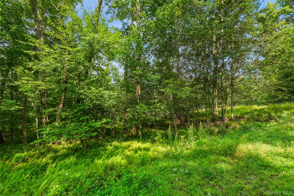 Oak Ridge Road Ellenville, NY 12428