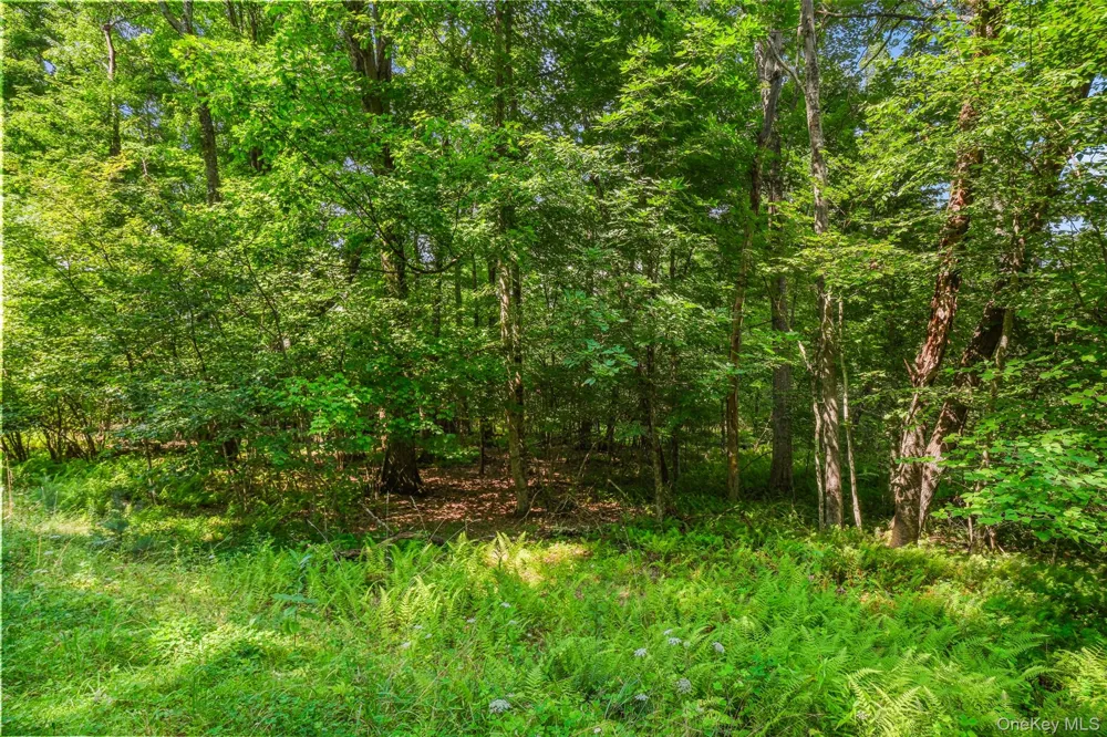 Oak Ridge Road Ellenville, NY 12428