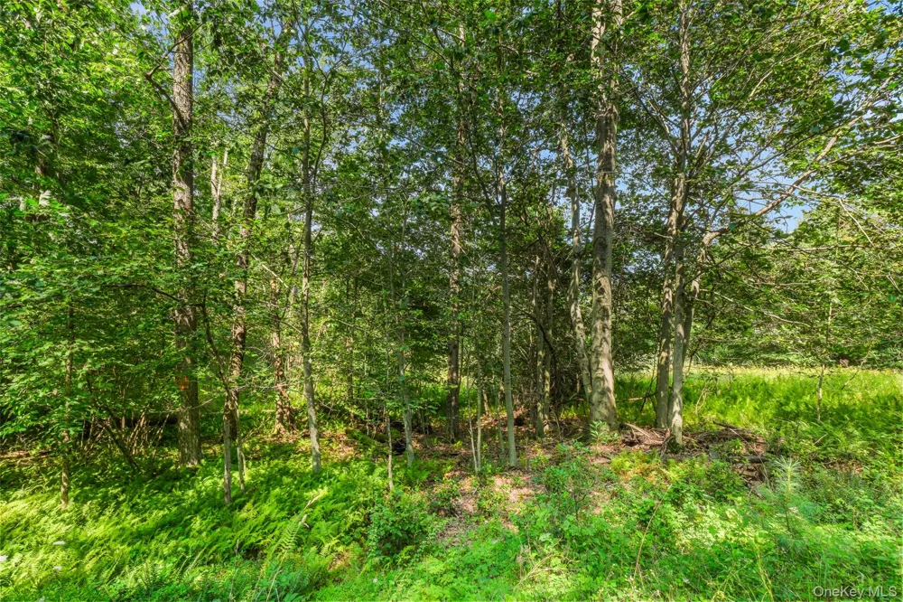 Oak Ridge Road Ellenville, NY 12428