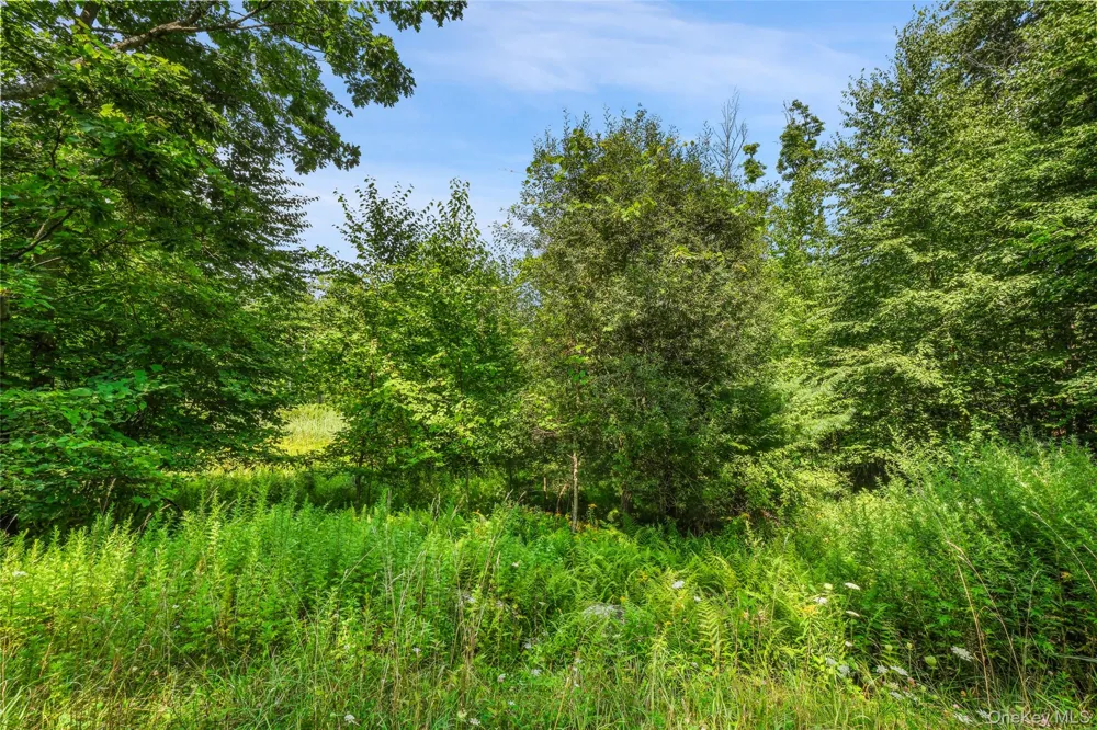 Oak Ridge Road Ellenville, NY 12428