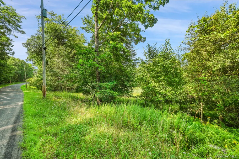 Oak Ridge Road Ellenville, NY 12428