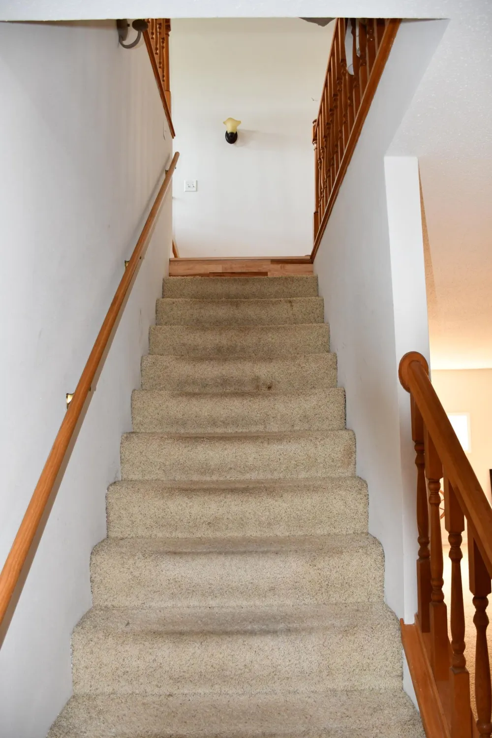 22273 Peterson Lane Detroit Lakes, MN 56501