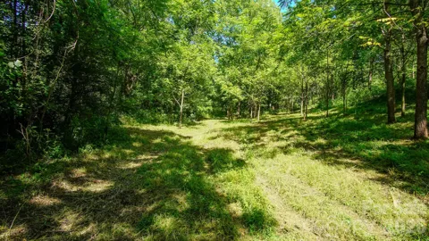 00 Ode Kerley Lane