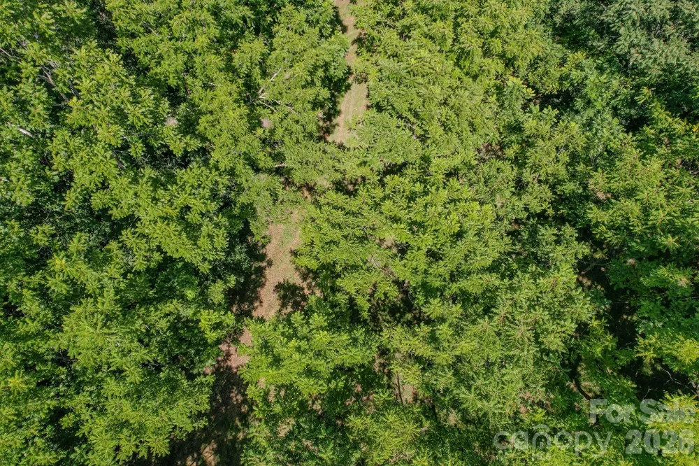 00 Ode Kerley Lane Taylorsville, NC 28681