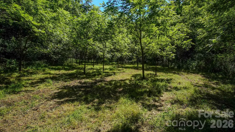 00 Ode Kerley Lane Taylorsville, NC 28681