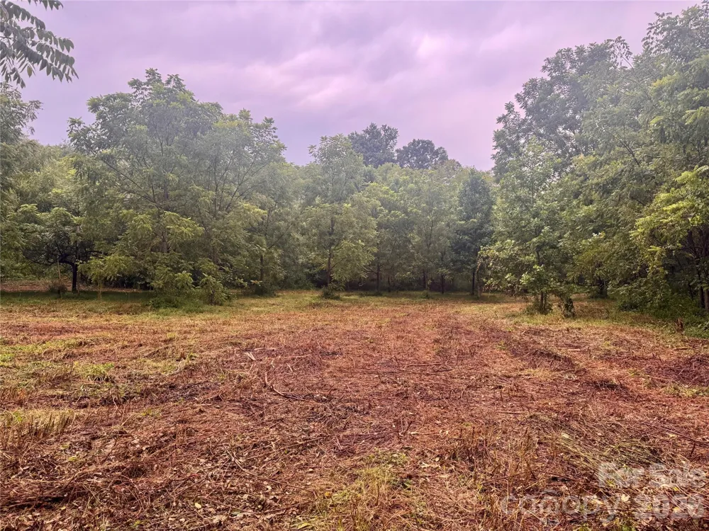 00 Ode Kerley Lane Taylorsville, NC 28681
