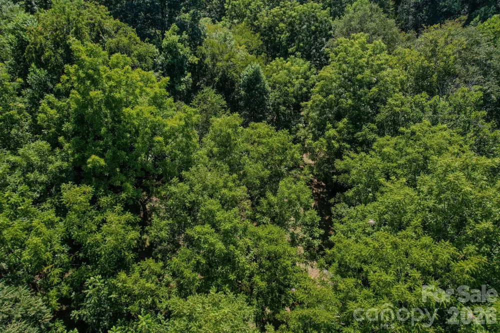00 Ode Kerley Lane Taylorsville, NC 28681