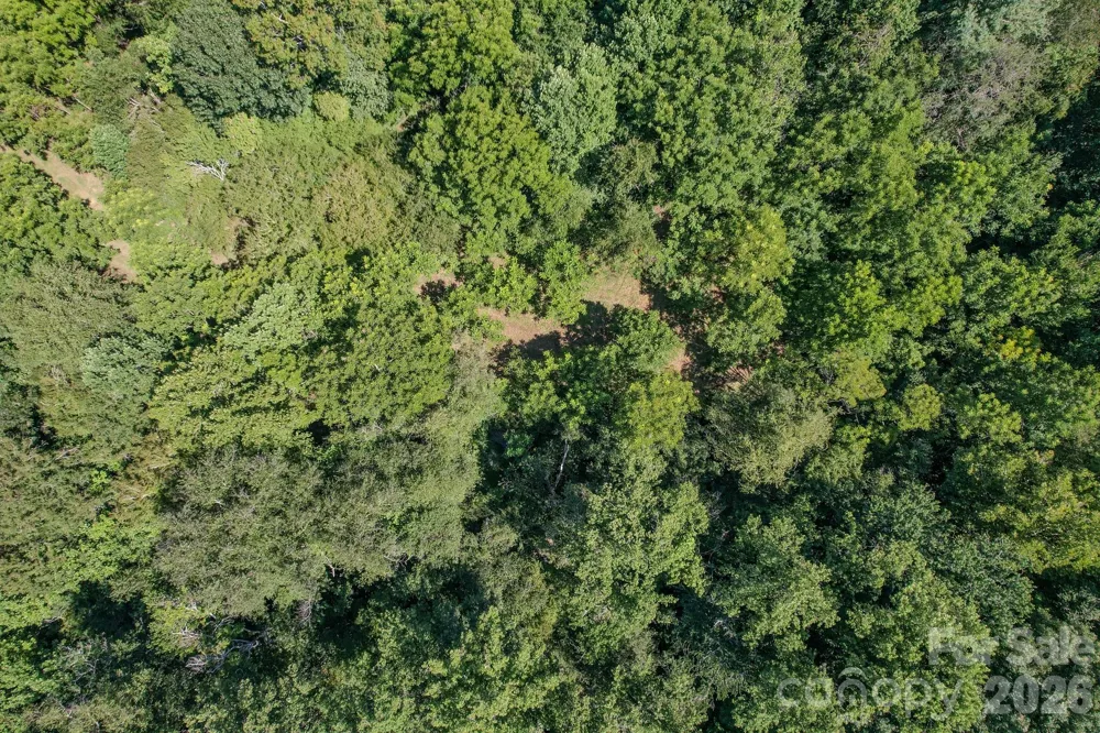 00 Ode Kerley Lane Taylorsville, NC 28681