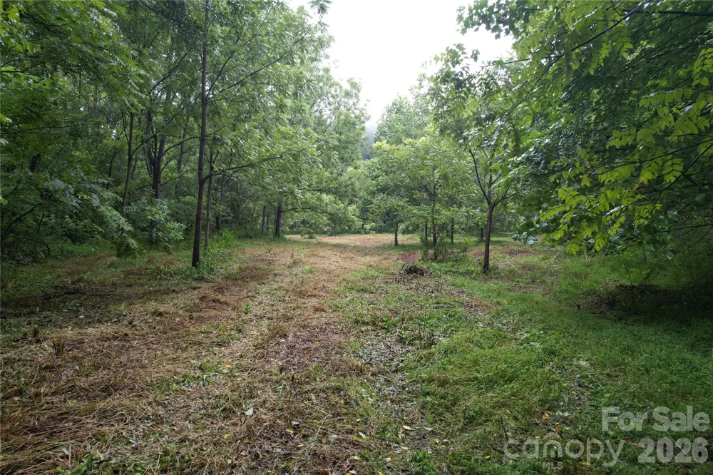 00 Ode Kerley Lane Taylorsville, NC 28681
