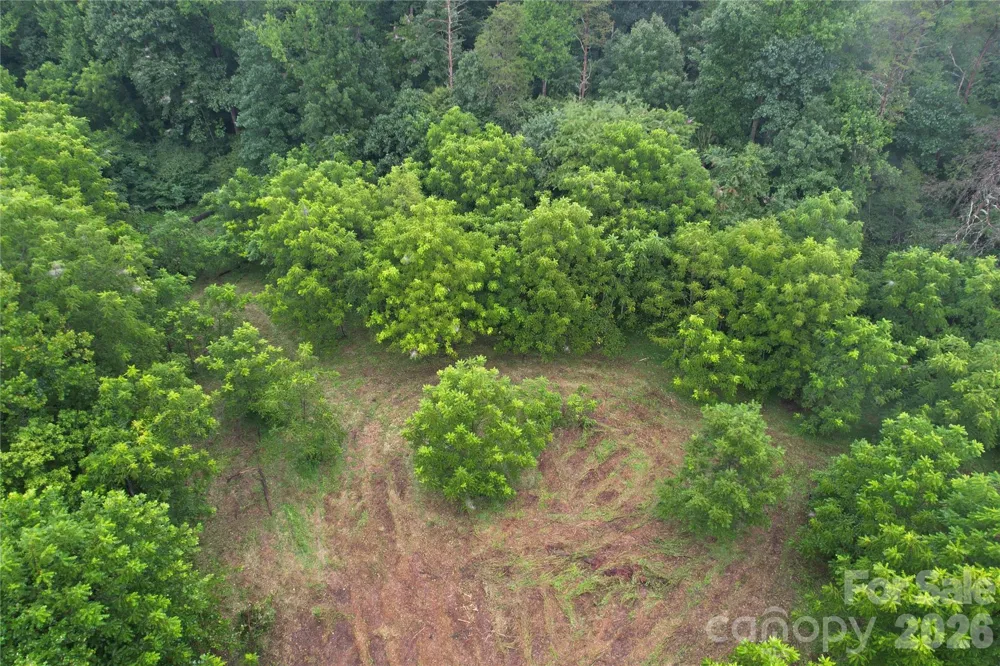 00 Ode Kerley Lane Taylorsville, NC 28681