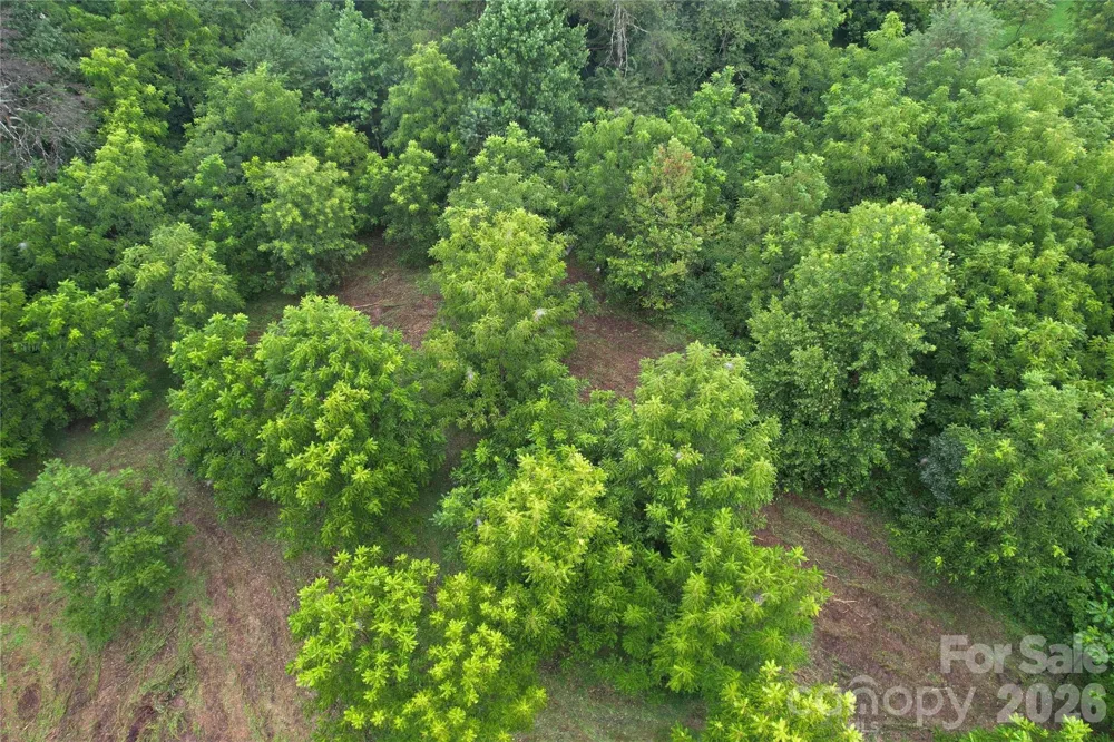 00 Ode Kerley Lane Taylorsville, NC 28681