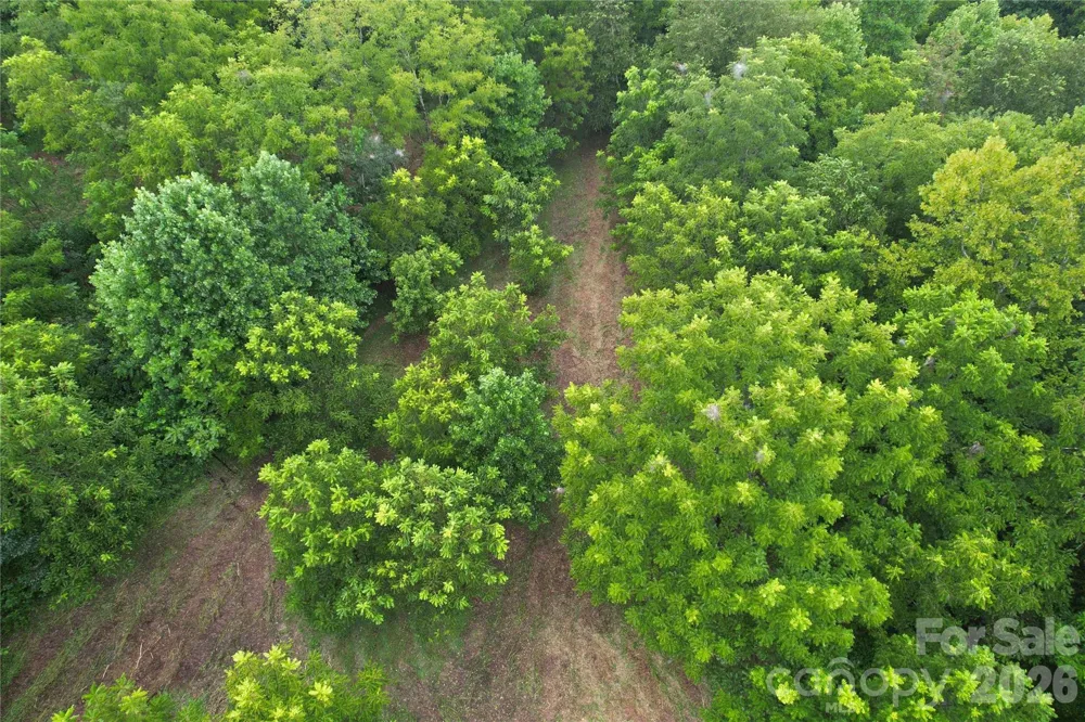 00 Ode Kerley Lane Taylorsville, NC 28681