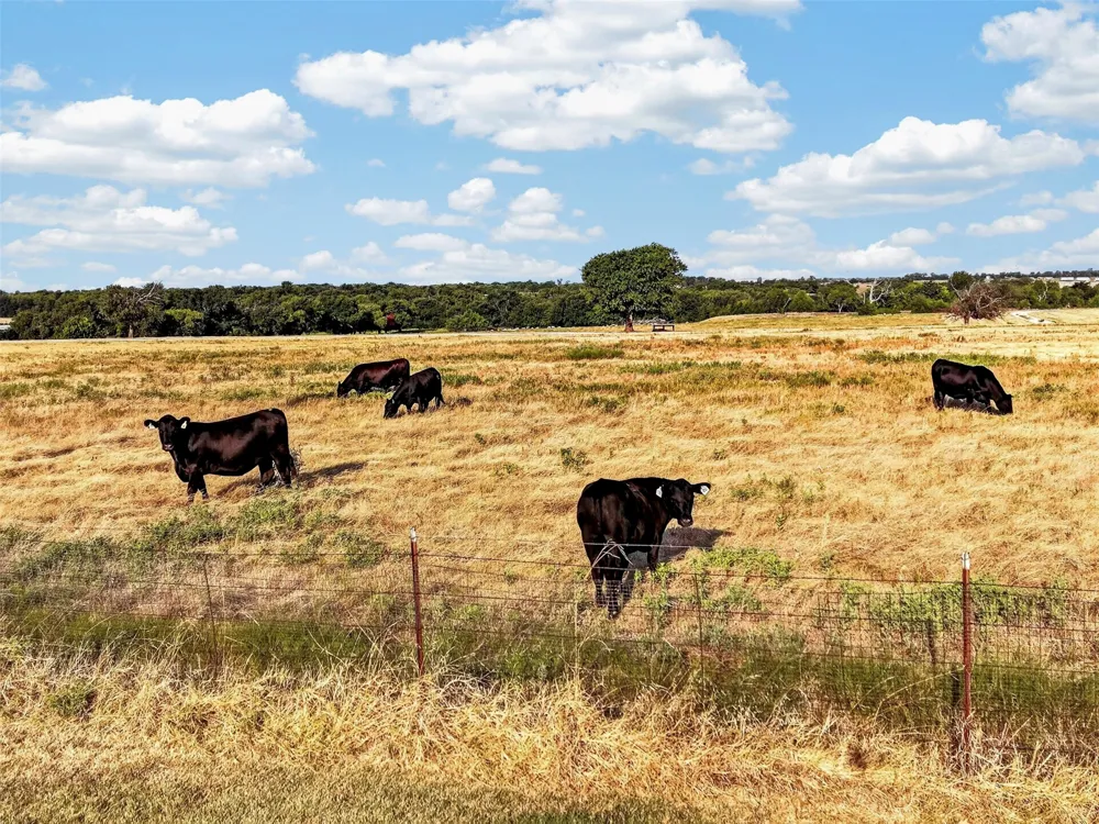 12420 US Highway 380 W Krum, TX 76249