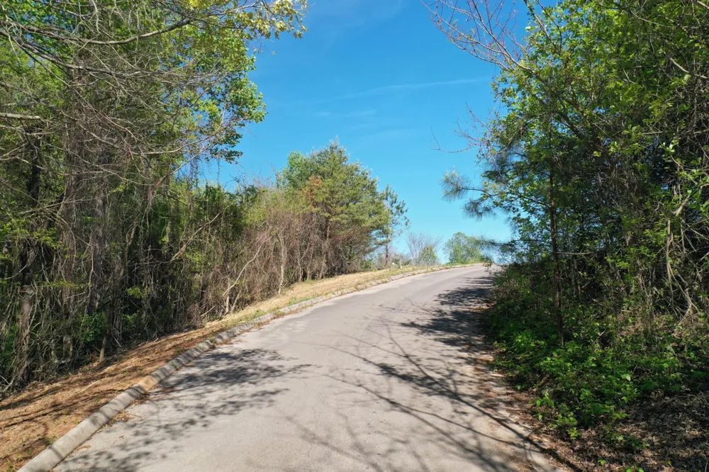 0 Elm Lane Sweetwater, TN 37874