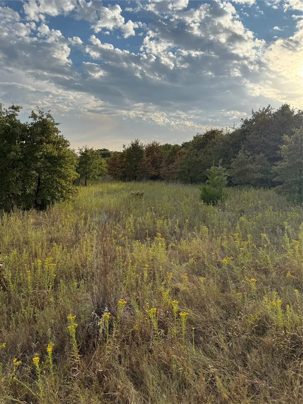New Hope Road Boyd, TX 76023