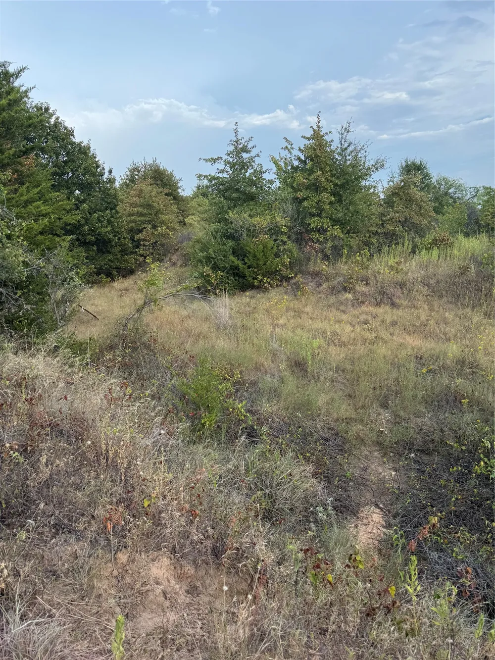New Hope Road Boyd, TX 76023