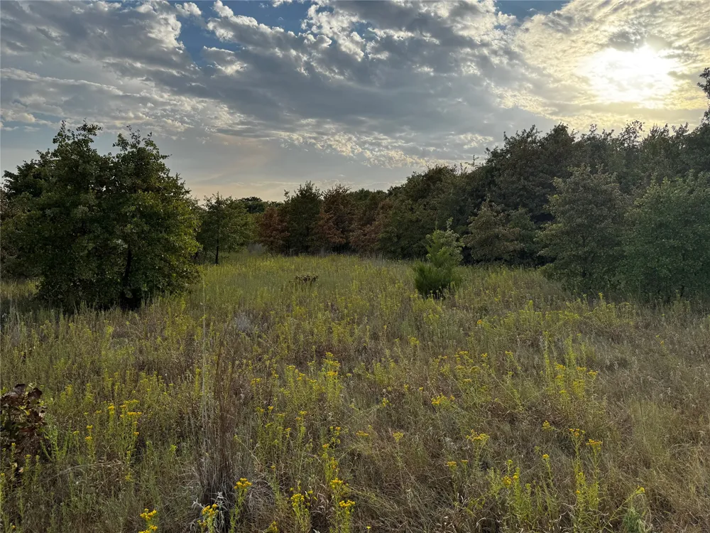 New Hope Road Boyd, TX 76023