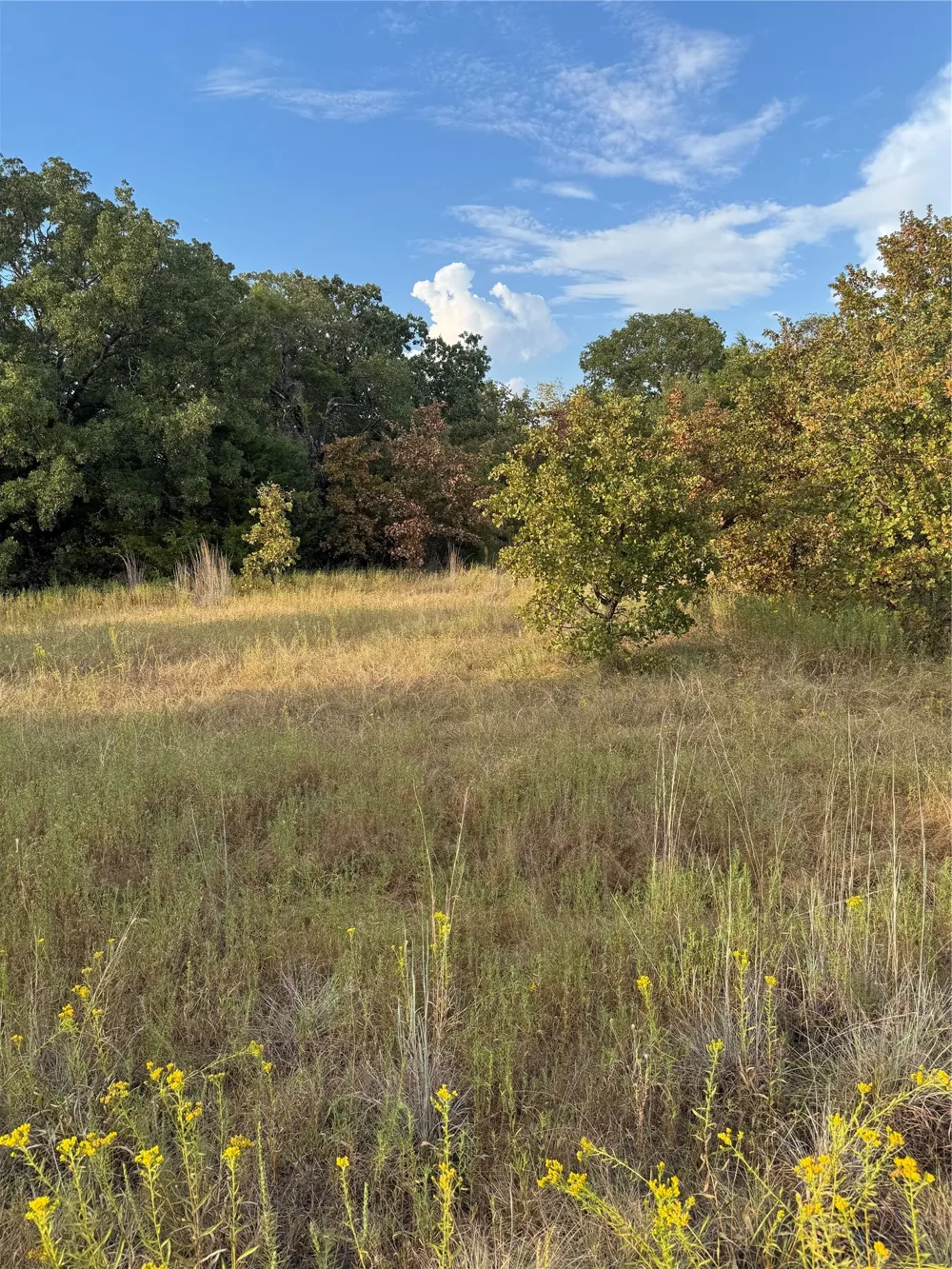 New Hope Road Boyd, TX 76023