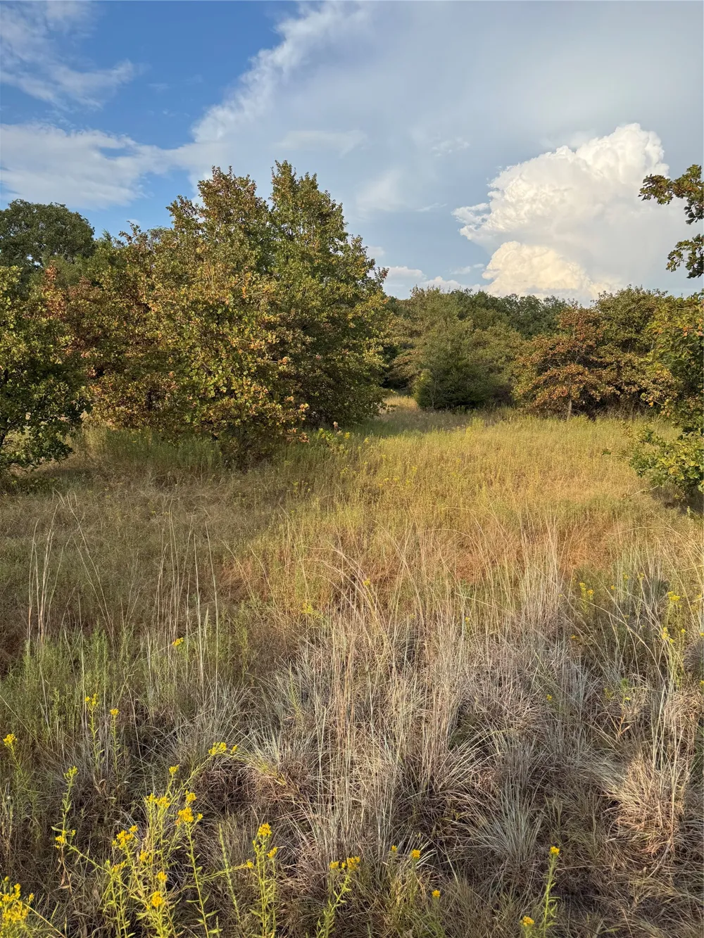 New Hope Road Boyd, TX 76023
