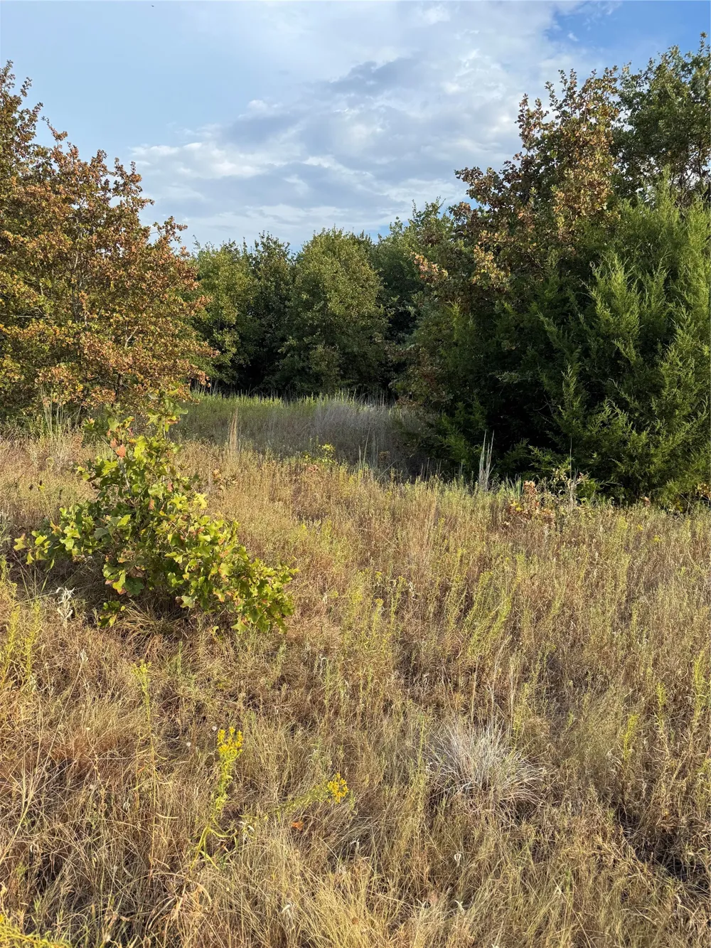 New Hope Road Boyd, TX 76023