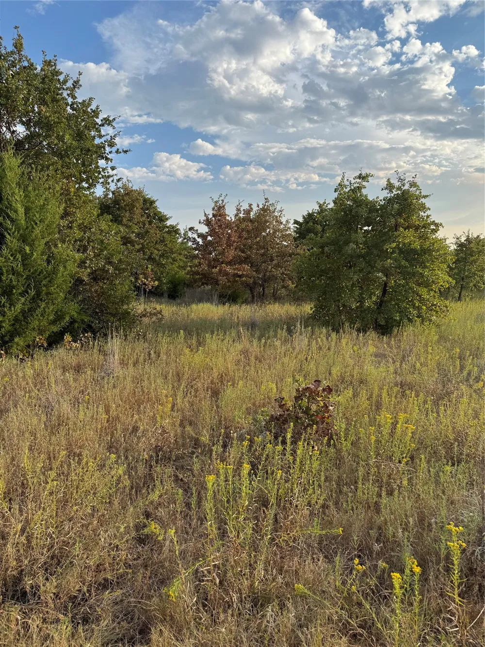 New Hope Road Boyd, TX 76023
