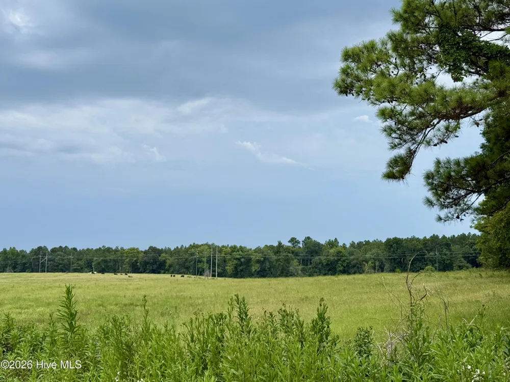 9153 Highway 28 South S Plum Branch, SC 29845